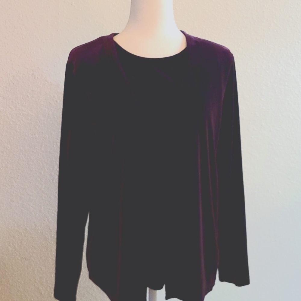 Deep Regal Purple Velour Top (L)